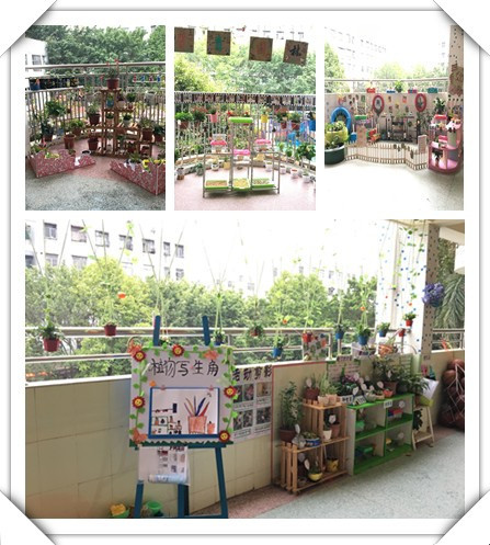 春暖花開(kāi)，綠樹(shù)成蔭——遠(yuǎn)恒佳公明第二幼兒園自然觀察角大比拼