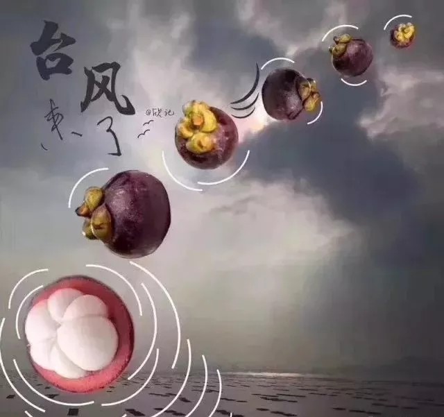 臺風(fēng)無情人有情，應(yīng)對臺風(fēng)“山竹”，我們團結(jié)一心。