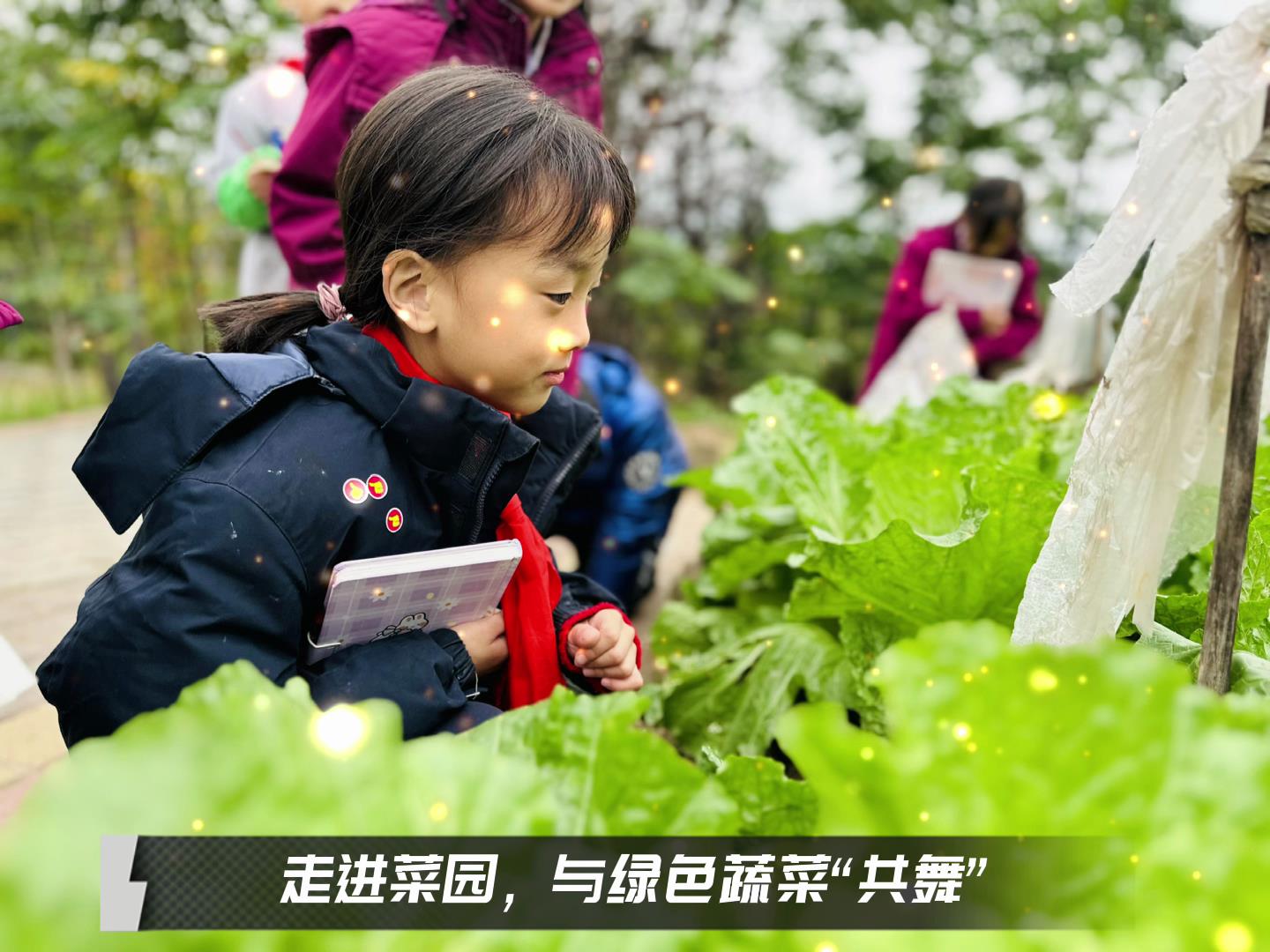 美好學(xué)校|留校時(shí)光，走出教室，與綠色蔬菜共舞