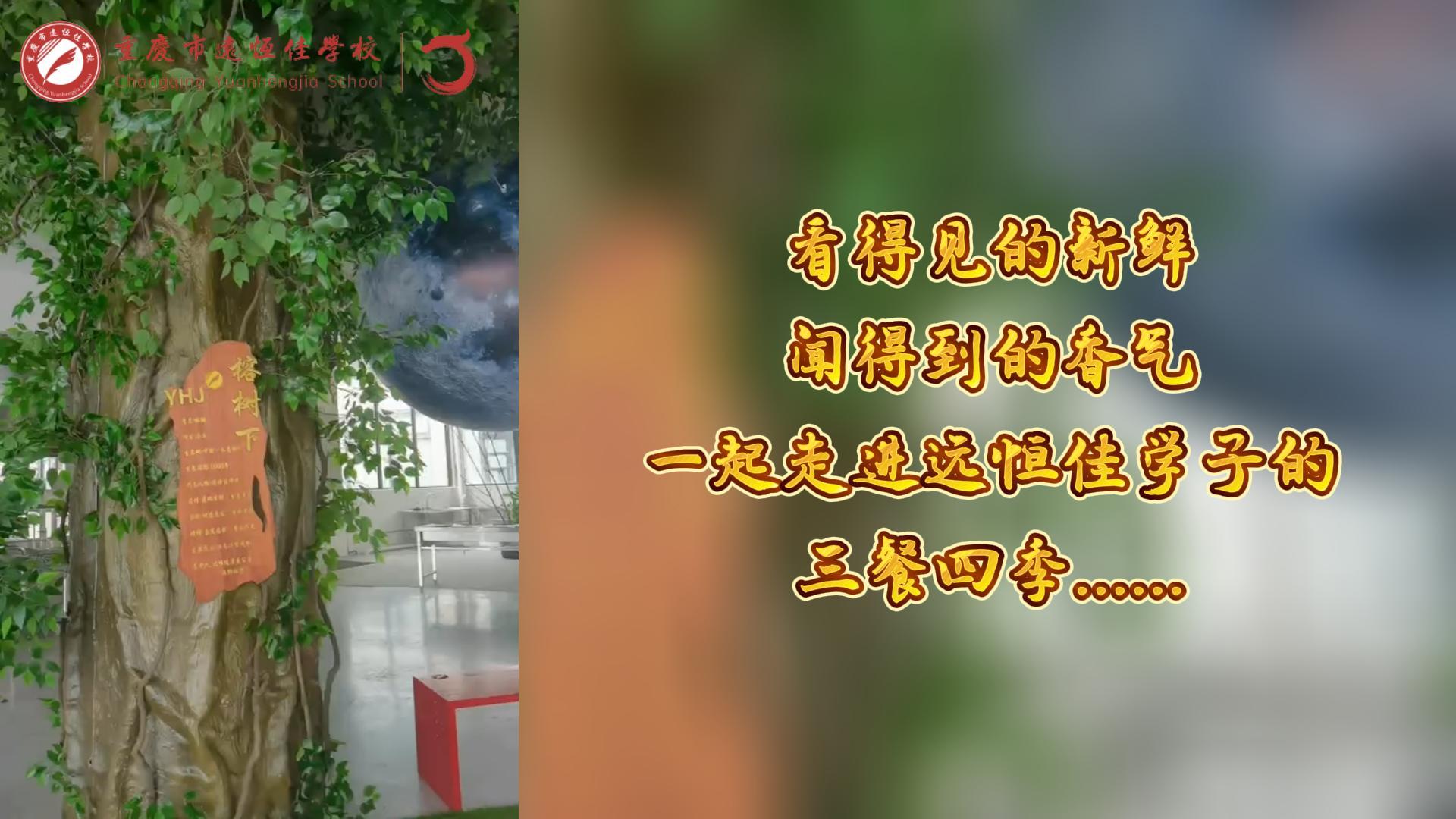 美好學(xué)校|看得見(jiàn)的新鮮，聞得到的香味，一起走進(jìn)遠(yuǎn)恒佳學(xué)子的三餐四季!
